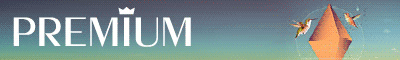 L1 premium 400x60 201306
